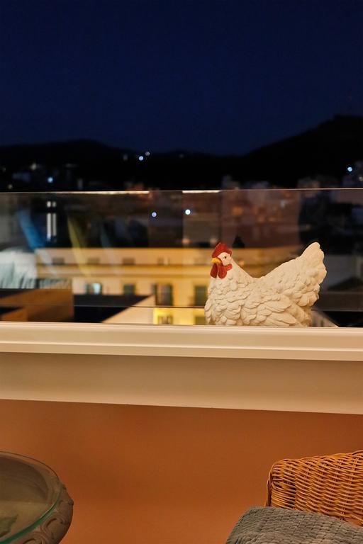 Picasso'S Birthplace Views مالقة المظهر الخارجي الصورة
